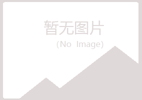 黑龙江夏青咨询有限公司